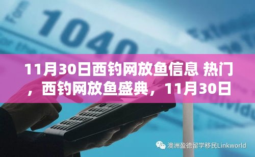 11月30日西钓网放鱼盛典，盛况与深远影响的探索
