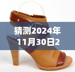 揭秘未来风尚，选购指南助你预测并选购2024年热门女鞋款式趋势预测推荐