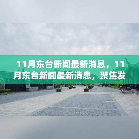 聚焦发展深度解析，东台最新新闻动态与观点探讨