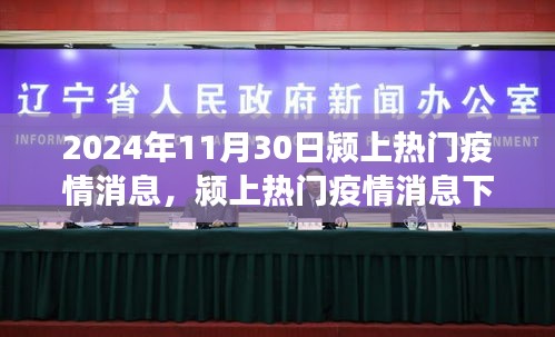 颍上热门疫情消息多维视角分析——以观察点2024年11月30日为例