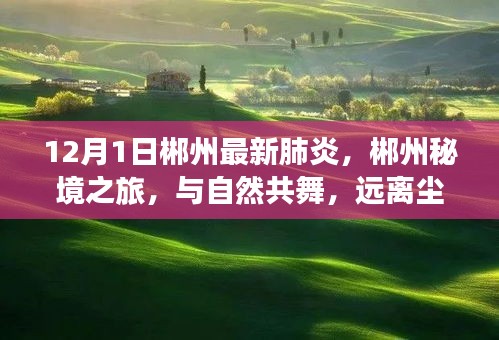 郴州最新肺炎下的秘境之旅，与自然共舞，寻找内心的宁静与力量