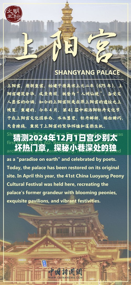 宫少别太坏,探秘小巷的独特风味与奇遇记——2024年12月1日的热门章节预测