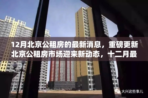 北京公租房市场十二月最新动态重磅更新，解读最新消息与市场趋势