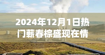 探秘蕲春棕盛小巷的独特风味，一家特色小店现状故事与热门蕲春棕盛现状揭秘