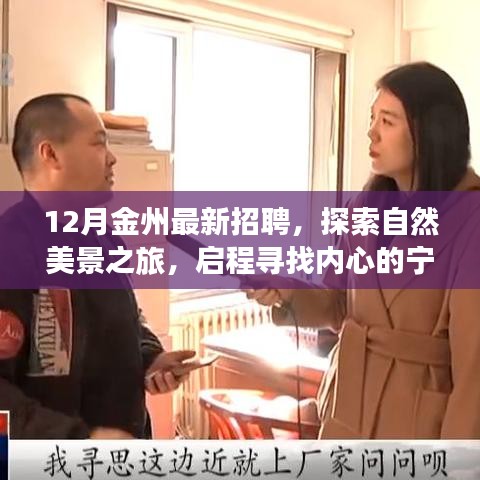 金州十二月招聘之旅，探索自然美景，寻找工作与内心的宁静