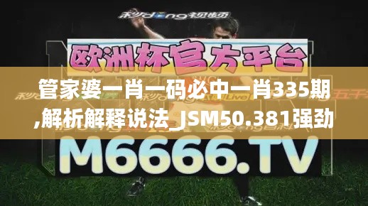 管家婆一肖一码必中一肖335期,解析解释说法_JSM50.381强劲版