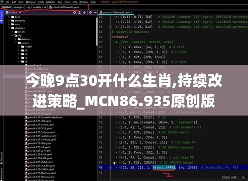 今晚9点30开什么生肖,持续改进策略_MCN86.935原创版