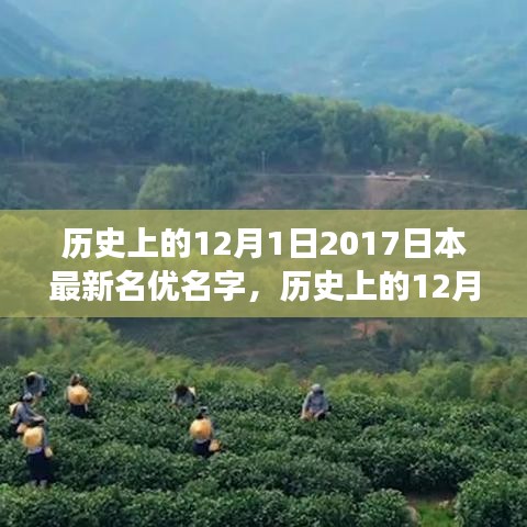 揭秘日本娱乐圈新星闪耀时刻，名优名字盘点与闪耀历程回顾（附2017年新星名字）