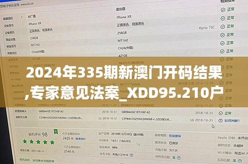 2024年335期新澳门开码结果,专家意见法案_XDD95.210户外版