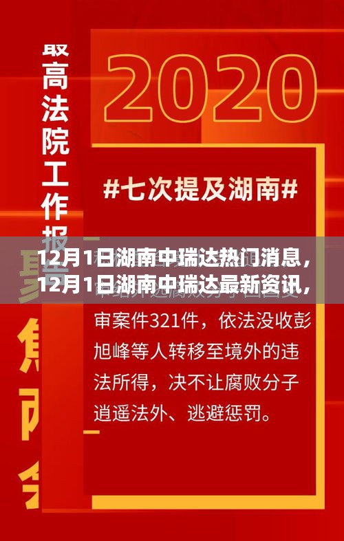 揭秘湖南中瑞达最新发展动态与热点消息，12月1日深度报道