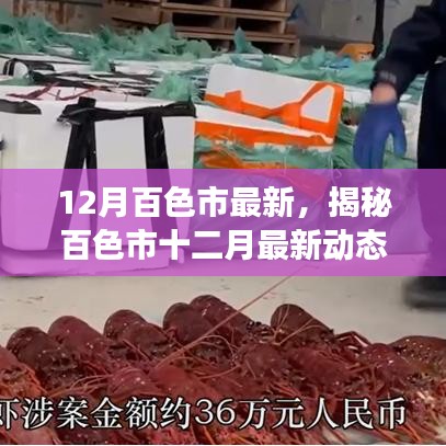 揭秘百色市十二月最新动态，发展热点、民生改善与科技进展总览