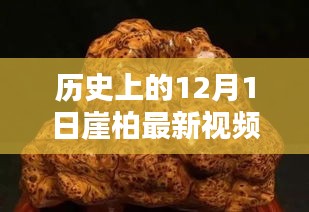 历史上的12月1日与崖柏最新视频，深度探析某观点揭秘时刻