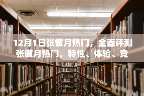 张傲月热门全面评测，特性、体验、竞品对比及用户群体深度剖析