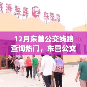 东营公交探秘，十二月线路查询指南与心灵静谧之旅