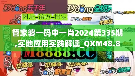 管家婆一码中一肖2024第335期,实地应用实践解读_QXM48.837科技版