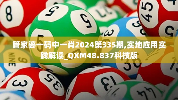 管家婆一码中一肖2024第335期,实地应用实践解读_QXM48.837科技版