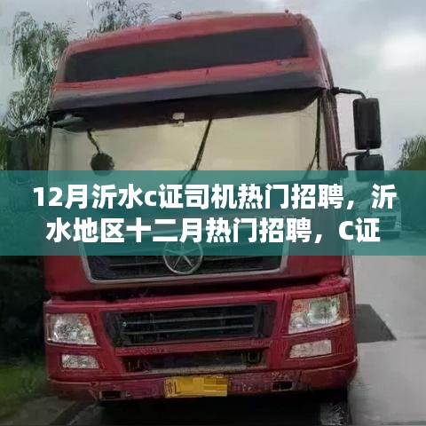 沂水地区十二月热门招聘，C证司机的职业前景与机遇