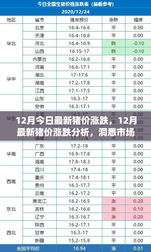 洞悉市场动态，最新猪价涨跌分析与养殖前景展望