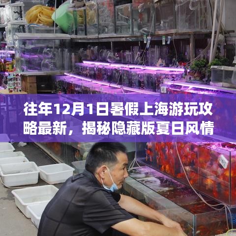 往年暑假上海游玩攻略，揭秘隐藏版夏日风情与小巷特色小店指南