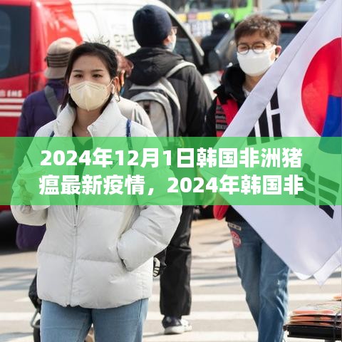 韩国非洲猪瘟最新动态，疫情分析与展望（2024年）
