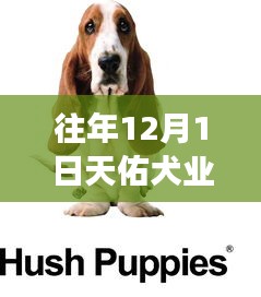 草草了事 第3页