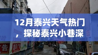 探秘泰兴小巷特色小店，十二月泰兴天气的温暖邂逅之旅