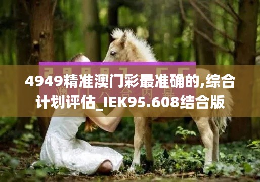 4949精准澳门彩最准确的,综合计划评估_IEK95.608结合版