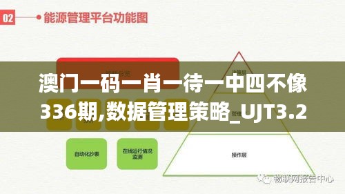 澳门一码一肖一待一中四不像336期,数据管理策略_UJT3.218升级版