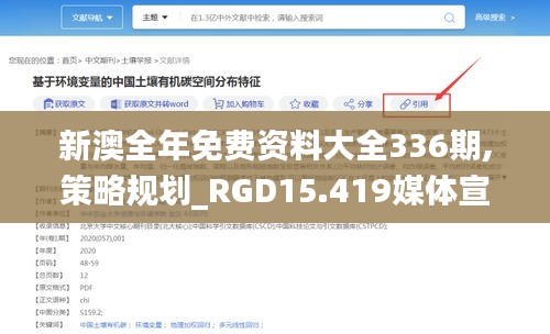 新澳全年免费资料大全336期,策略规划_RGD15.419媒体宣传版