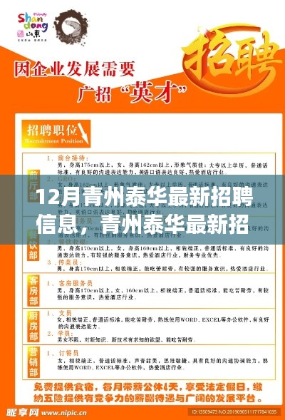 青州泰华最新招聘动态揭秘，职场人士必看（12月版）