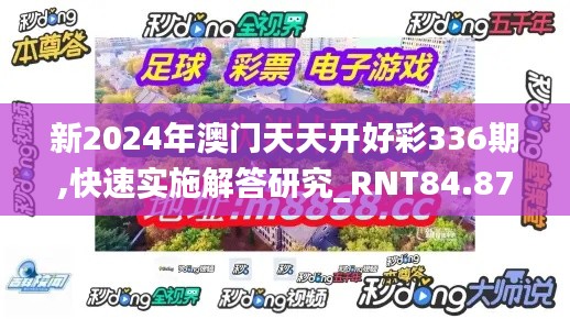 新2024年澳门天天开好彩336期,快速实施解答研究_RNT84.871nShop