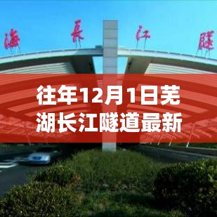 腾龙换鸟 第3页