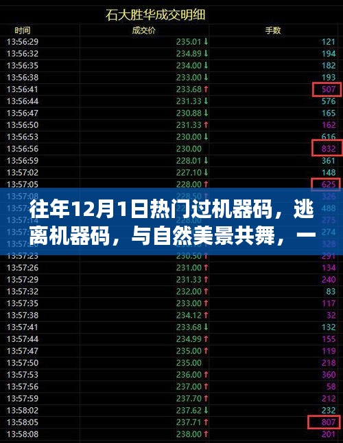 心灵之旅，逃离机器码，与自然美景共舞的心灵奇妙之旅