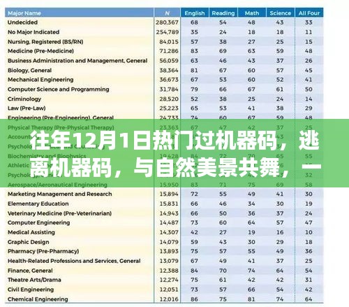 心灵之旅,逃离机器码,与自然美景共舞的心灵奇妙之旅