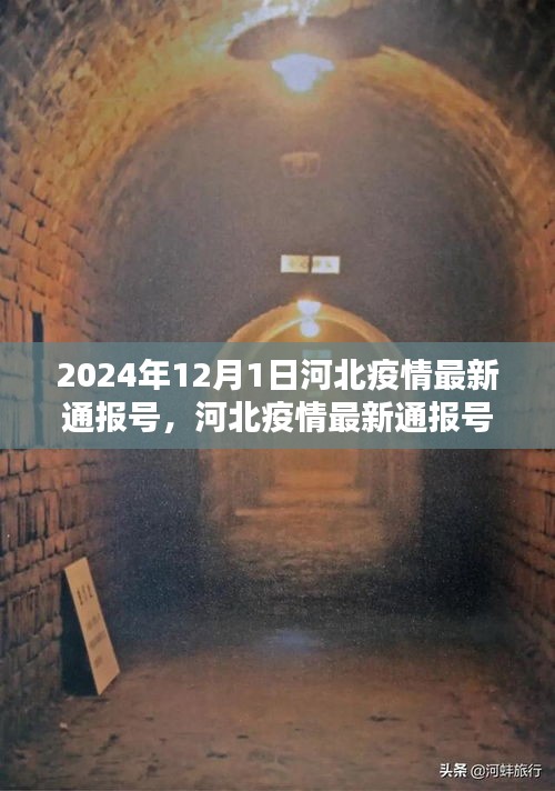 深度解析河北疫情最新通报号，产品特性、使用体验与目标用户群体评测报告