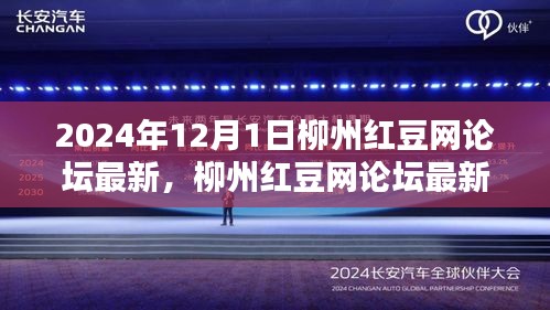 2024年柳州红豆网论坛最新评测报告（全面解读）