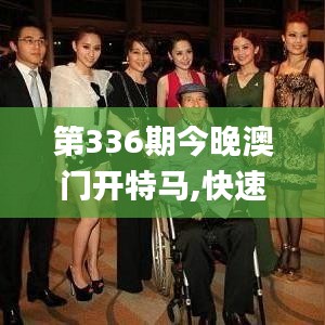 第336期今晚澳门开特马,快速解答方案设计_QMS57.188商务版