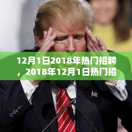 2018年12月1日热门招聘趋势深度解析