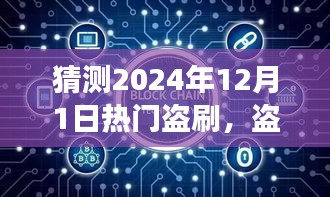 揭秘盗刷风云背后的奇遇之旅，盗刷热点下的温馨日常（2024年12月1日）