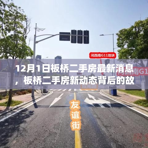 板桥二手房市场新动态，变化、学习与自信的力量背后的故事（最新消息）