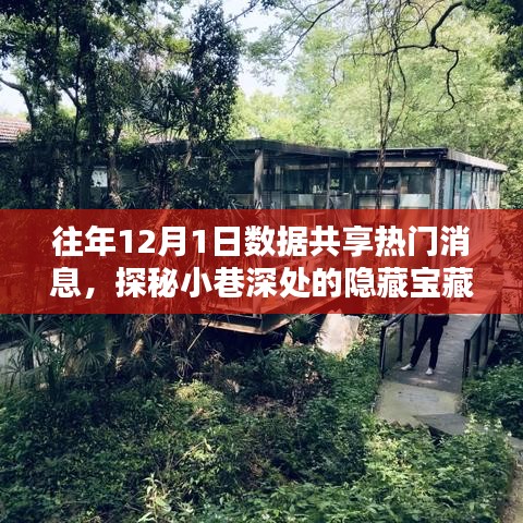揭秘数据共享热潮下的隐藏宝藏，独家特色数据共享消息小店探秘之旅