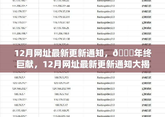🌟年终巨献，揭秘最新更新的12月网址通知🔥