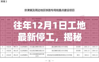 揭秘工地停工真相,往年12月停工原因、影响及应对策略深度解析
