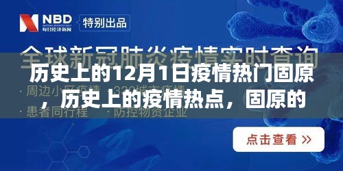 固原疫情热点回顾与防疫技能学习指南，从初学到进阶的全面教程