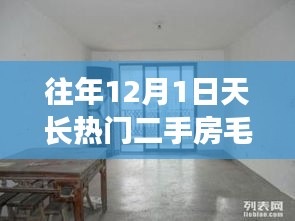 往年12月1日天长热门二手房毛坯房选购指南，从入门到进阶的选择建议
