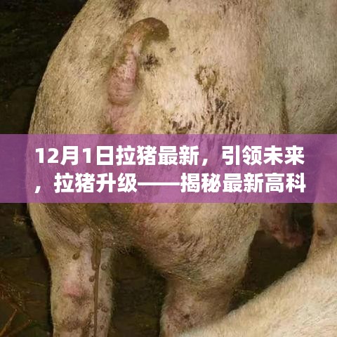 揭秘最新高科技拉猪产品的神奇功能，引领未来拉猪升级新趋势