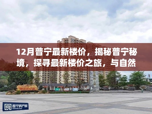 揭秘普宁最新楼价，与自然美景共舞冬日阳光之旅