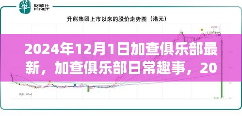 加查俱乐部日常趣事，温馨时光下的最新动态