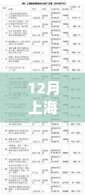 12月上海热门事件公布，一网打尽上海热点资讯与步骤指南