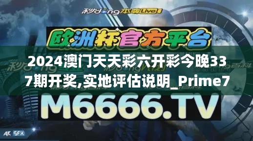 2024澳门天天彩六开彩今晚337期开奖,实地评估说明_Prime77.689-5